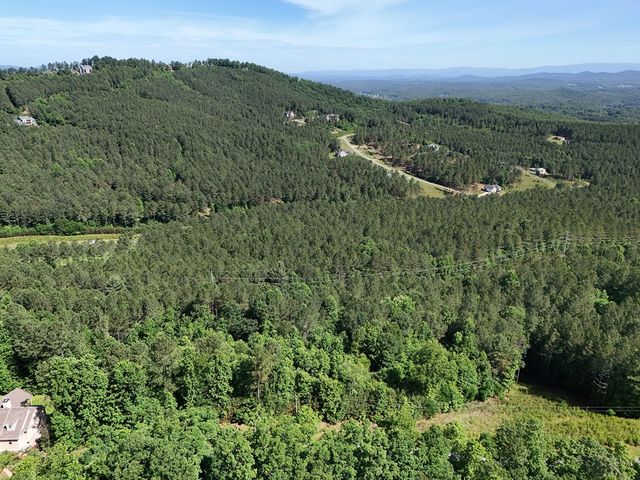 Lot 72 Thirteen Hundred, Blairsville, GA 30512