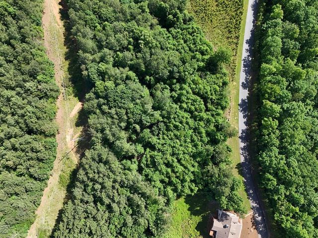 Lot 72 Thirteen Hundred, Blairsville, GA 30512
