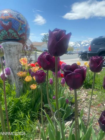 1492 Mary Jo Drive, Gardnerville, NV 89460