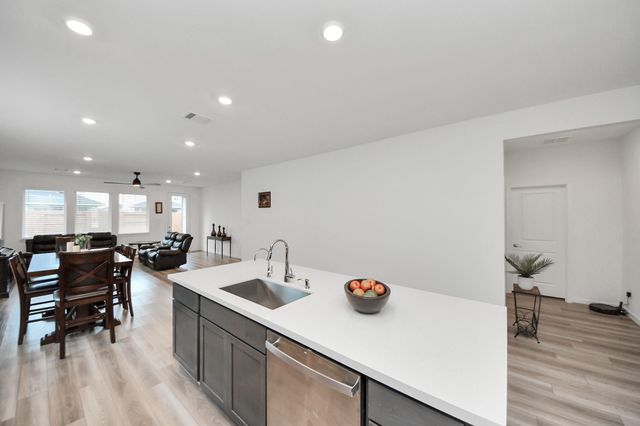 21719 Flannel Bush Lane, Cypress, TX 77433