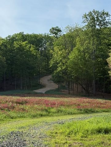5284 Poor House Hollow Rd, Franklin, TN 37064