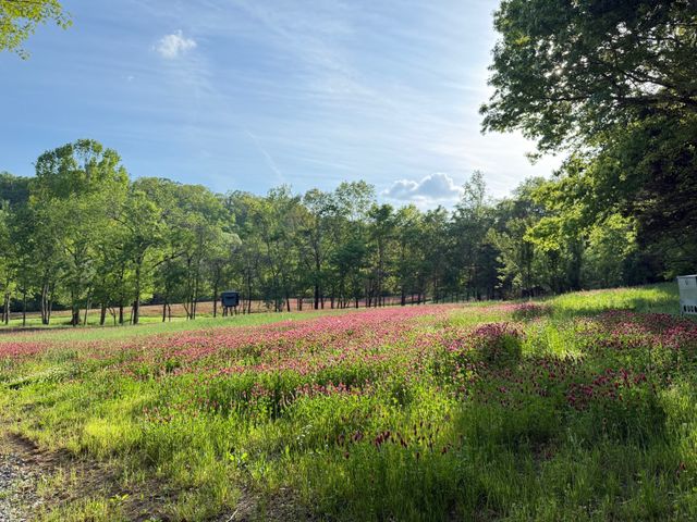 5284 Poor House Hollow Rd, Franklin, TN 37064