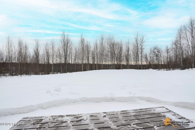 13832 W Halston Avenue, Big Lake, AK 99652