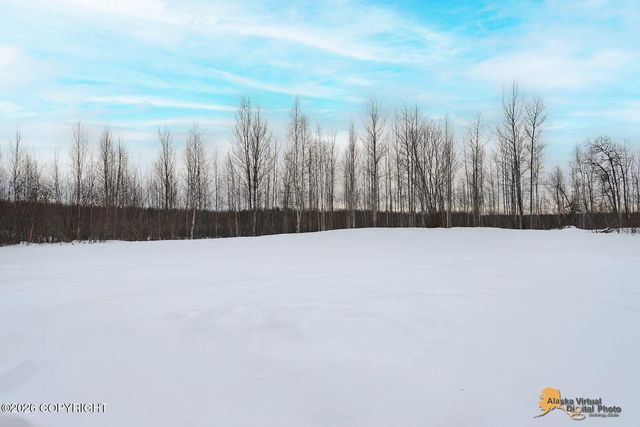 13832 W Halston Avenue, Big Lake, AK 99652
