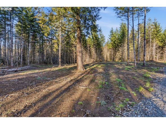 232 Durins Pl, Castle Rock, WA 98611