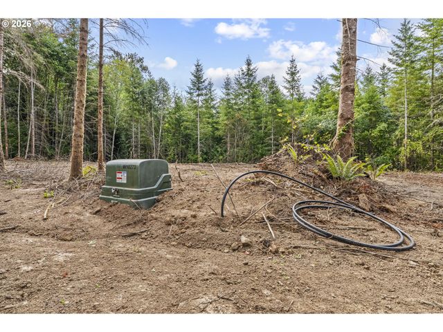 232 Durins Pl, Castle Rock, WA 98611