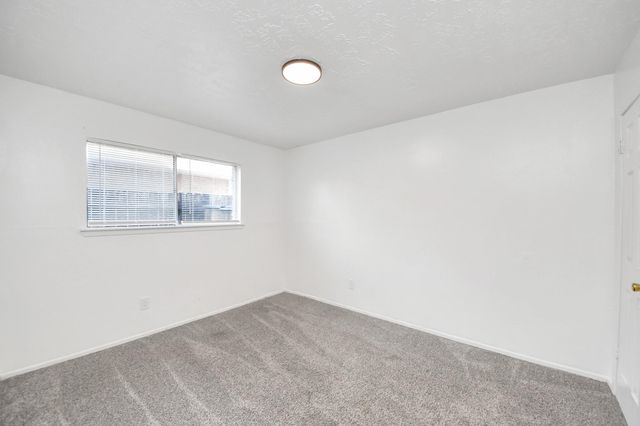 4519 Reynaldo Drive, Spring, TX 77373