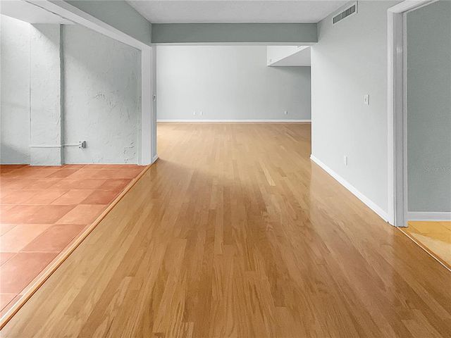 13516 PALMWOOD LANE, Tampa, FL 33618