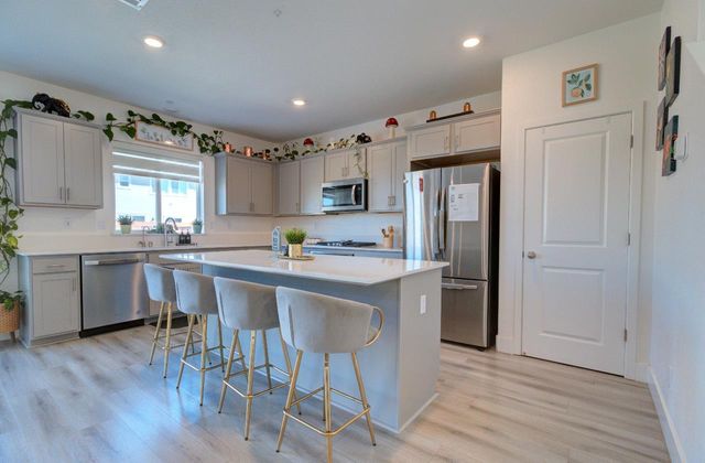 15581 Kellogg Creek Ct, Lathrop, CA 95330