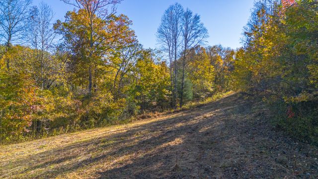 283 Fleeman Rd, Lawrenceburg, TN 38464