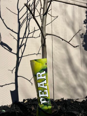 91 E Lake Dr, Antioch, CA 94509