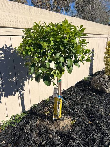 91 E Lake Dr, Antioch, CA 94509