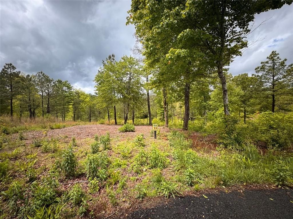 35 Arbor Creek, Mineral Bluff, GA 30559