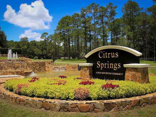 425 E ELGROVE DRIVE, Citrus Springs, FL 34434