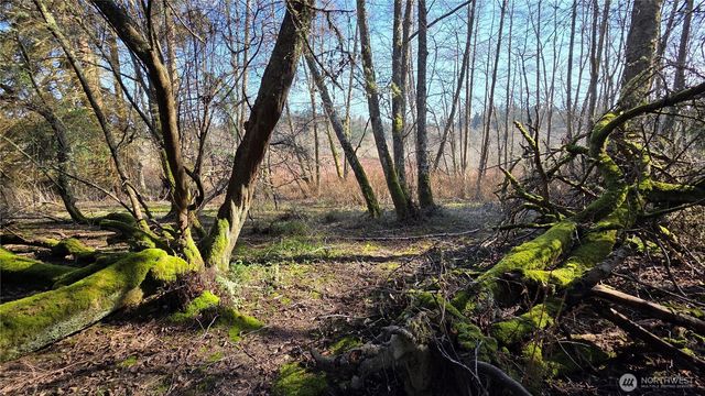 5707 Woodard Avenue, Freeland, WA 98249