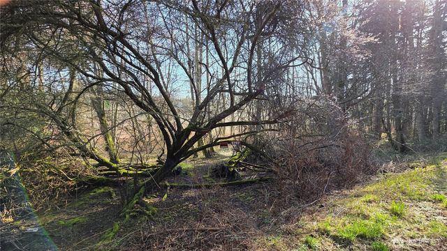 5707 Woodard Avenue, Freeland, WA 98249