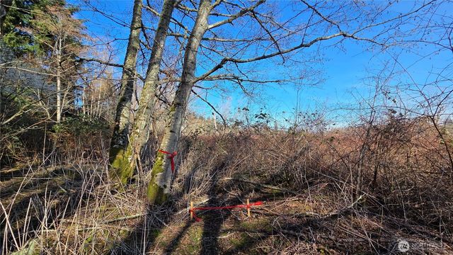 5707 Woodard Avenue, Freeland, WA 98249