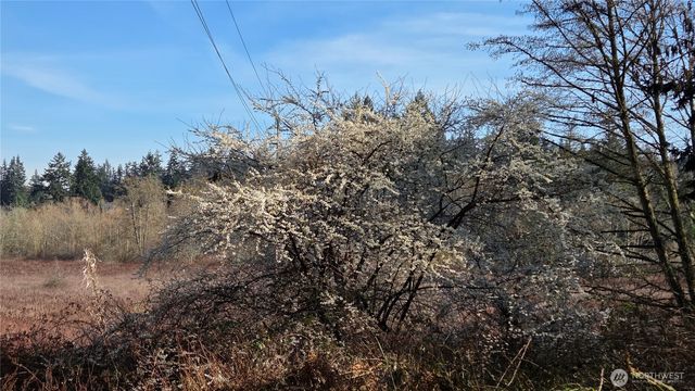 5707 Woodard Avenue, Freeland, WA 98249