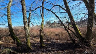 5707 Woodard Avenue, Freeland, WA 98249