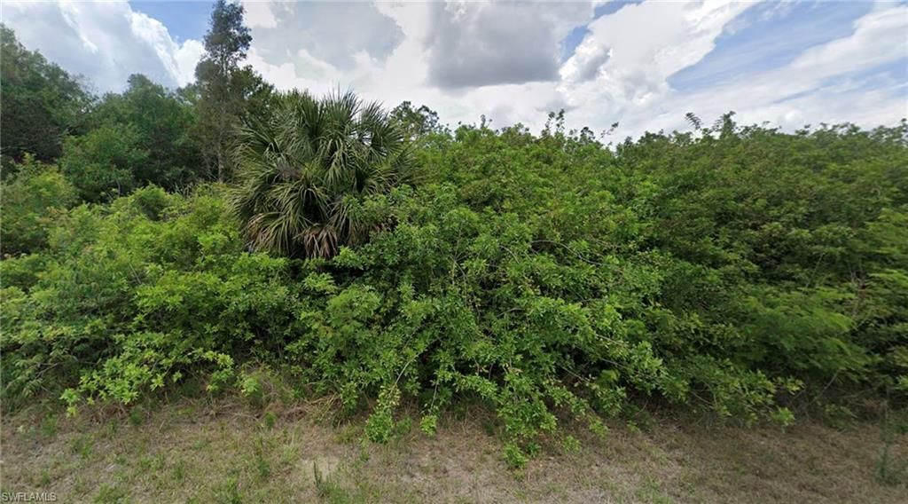 903 Michael AVE, LEHIGH ACRES, FL 33936 — photo 3