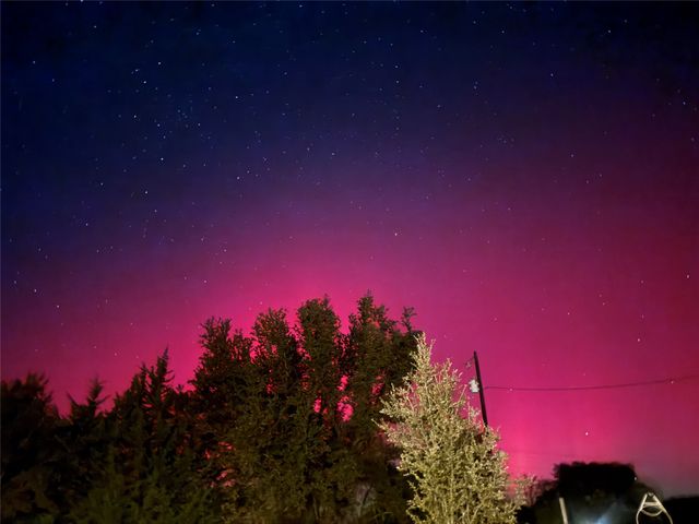 995 School House Road, Forestburg, TX 76239