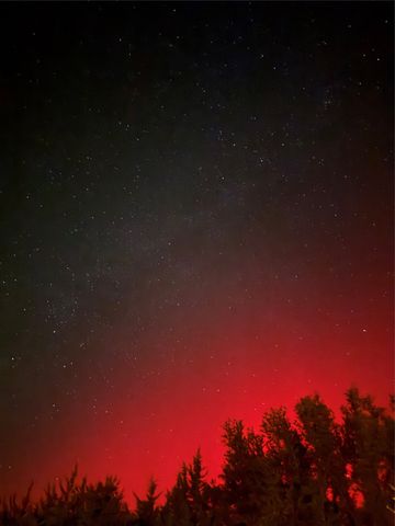 995 School House Road, Forestburg, TX 76239