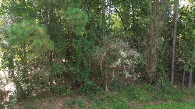 2404 Chantilly Lane, Conroe, TX 77384