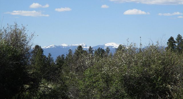 36141 David Street, Chiloquin, OR 97624