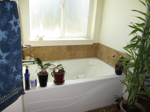 36141 David Street, Chiloquin, OR 97624