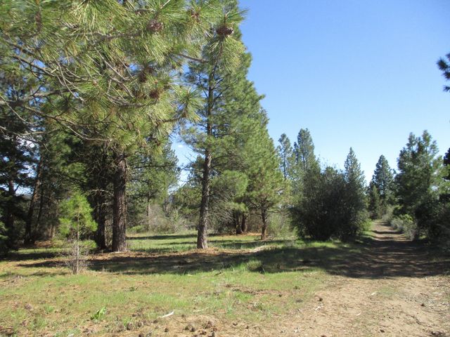 36141 David Street, Chiloquin, OR 97624