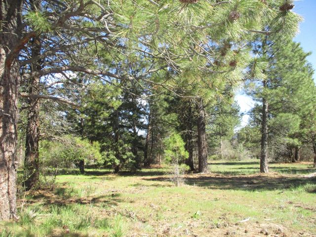 36141 David Street, Chiloquin, OR 97624