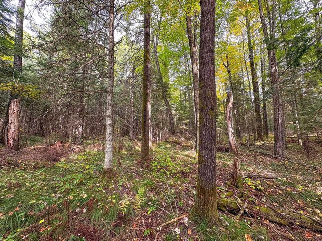 N12668 HICKS LANDING ROAD, Fifield, WI 54524