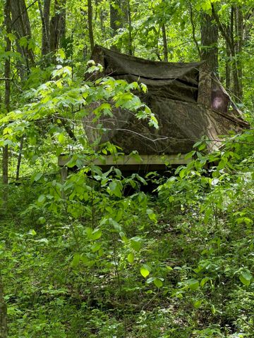 3486 Rankin Mill Road, Falmouth, KY 41040