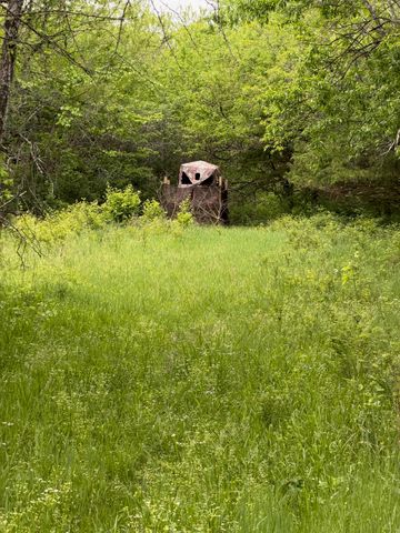 3486 Rankin Mill Road, Falmouth, KY 41040