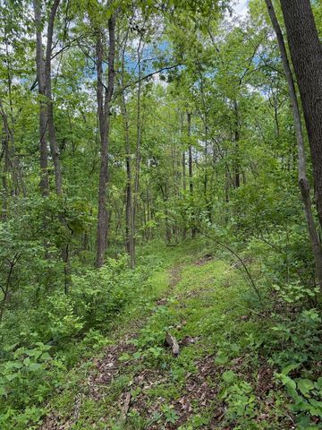 3486 Rankin Mill Road, Falmouth, KY 41040
