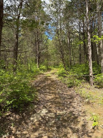 3486 Rankin Mill Road, Falmouth, KY 41040