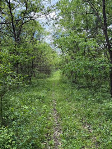 3486 Rankin Mill Road, Falmouth, KY 41040