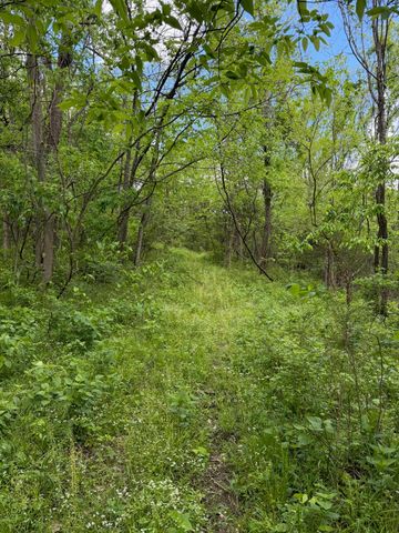 3486 Rankin Mill Road, Falmouth, KY 41040