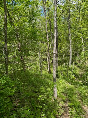 3486 Rankin Mill Road, Falmouth, KY 41040