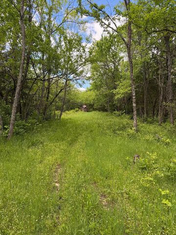 3486 Rankin Mill Road, Falmouth, KY 41040