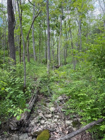 3486 Rankin Mill Road, Falmouth, KY 41040