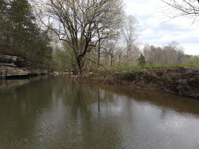 667 Troutstream Road, Dunnville, KY 42528