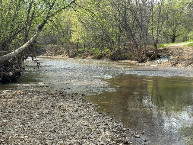 667 Troutstream Road, Dunnville, KY 42528
