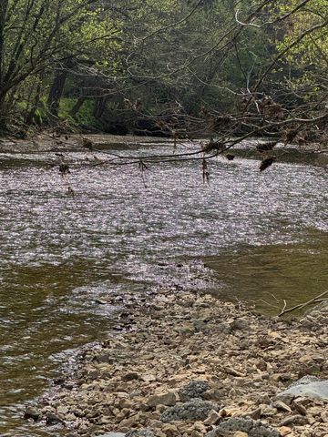 667 Troutstream Road, Dunnville, KY 42528