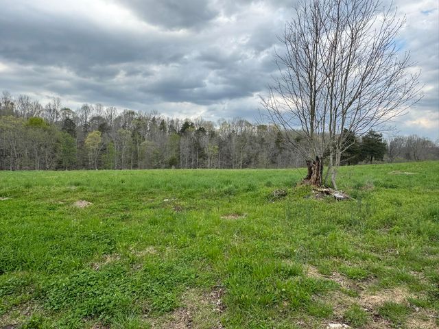 667 Troutstream Road, Dunnville, KY 42528