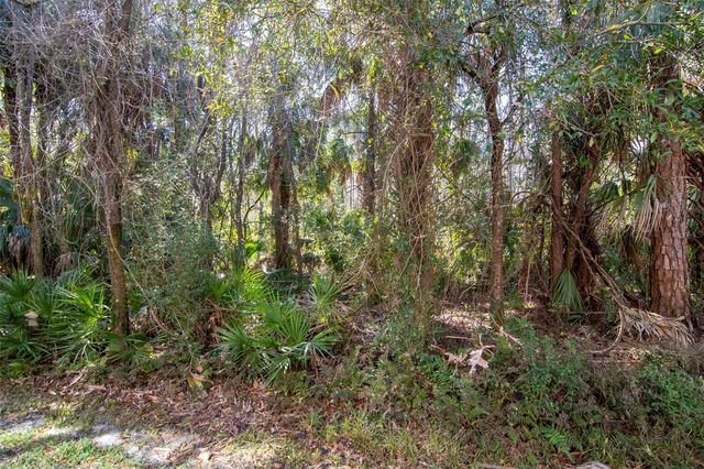 18832 DUQUESNE DRIVE, Tampa, FL 33647