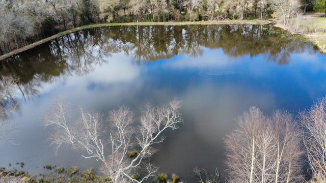 11764 County Road 3516, Brownsboro, TX 75756