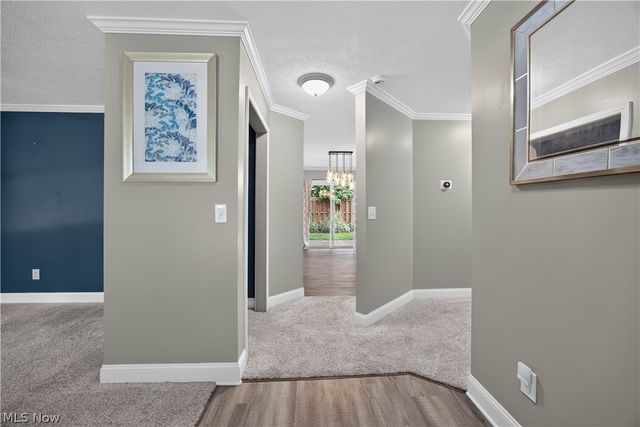 237 Butternut Lane, Berea, OH 44017