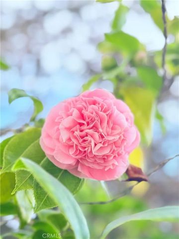 22141 Comanche, Lake Forest, CA 92630