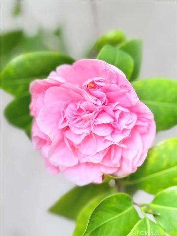 22141 Comanche, Lake Forest, CA 92630